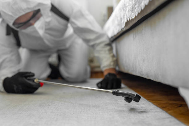 Professional Cockroach Control technician working in Charlevoix, MI