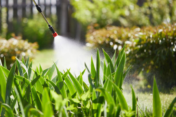 24/7 Emergency Cockroach Control experts in Charlevoix, MI